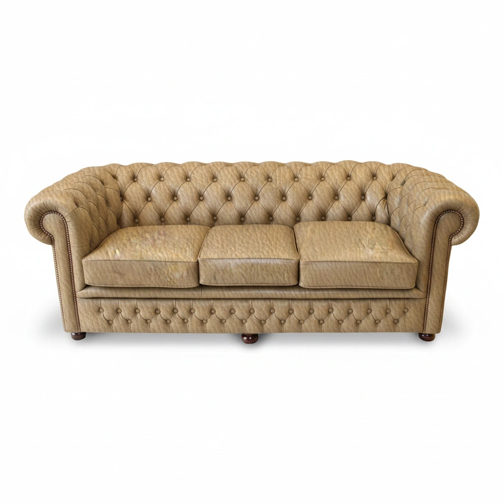 The Durham Chesterfield 3 Seat Sofa Bed, color: Windsor Fudge